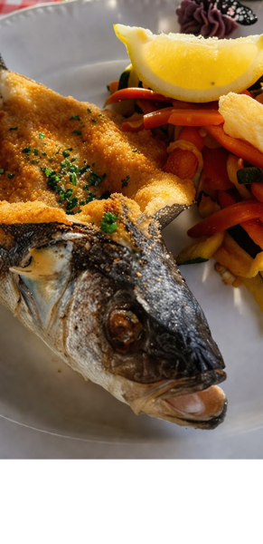 Le restaurant - Restaurant Chez Grand'Mère - restaurant LES ORMES-SUR-VOULZIE  Restaurant Bray sur Seine - Cité médiévale de Provins - Musée de la Vie d'Autrefois